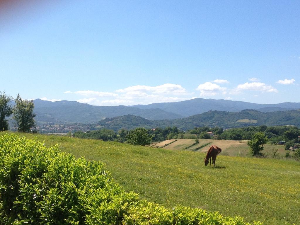 "Villa Bizzi" Monte Castelli Bagian luar foto