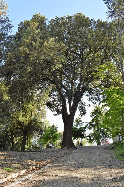 "Villa Bizzi" Monte Castelli Bagian luar foto